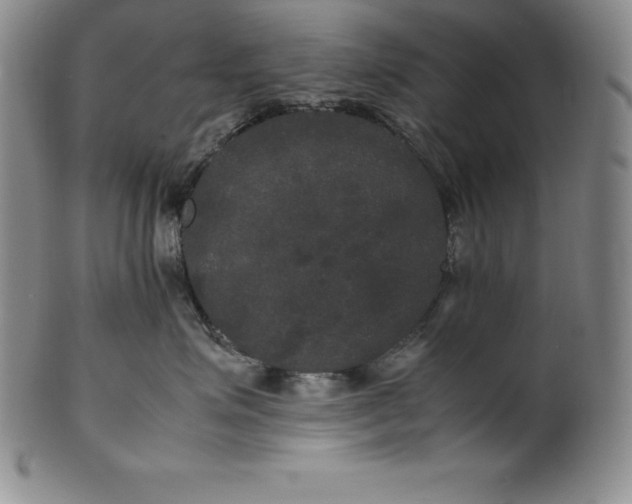 X0000100490623200806271238