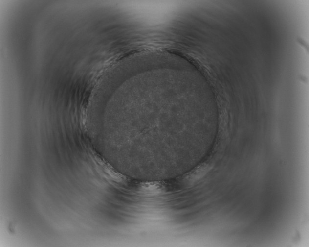 X0000100490624200806271238