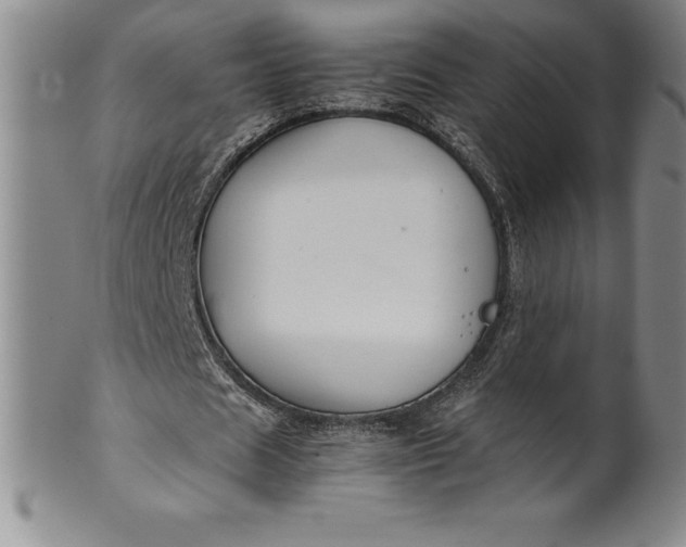 X0000100490625200806271237