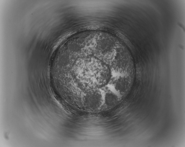 X0000100490626200806271237