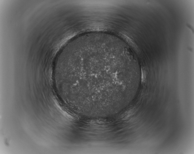 X0000100490627200806271237