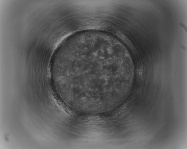 X0000100490628200806271237