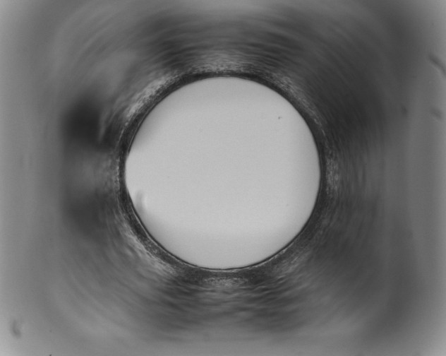 X0000100490629200806271237