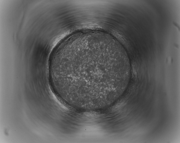 X0000100490630200806271237