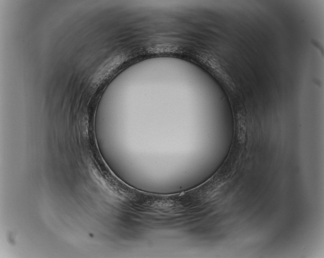 X0000100490631200806271237