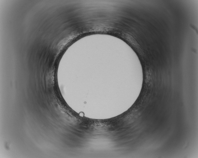 X0000100490632200806271237