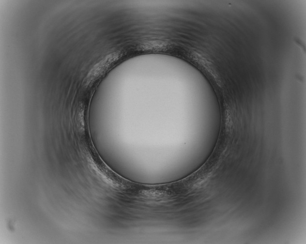 X0000100490633200806271237