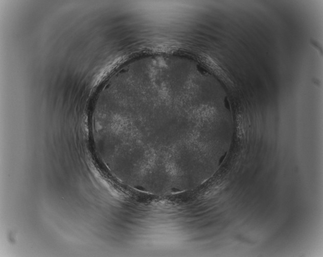 X0000100490634200806271237