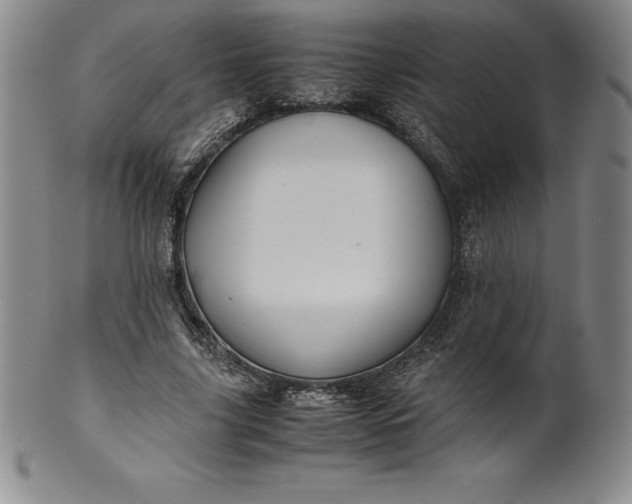 X0000100490635200806271238