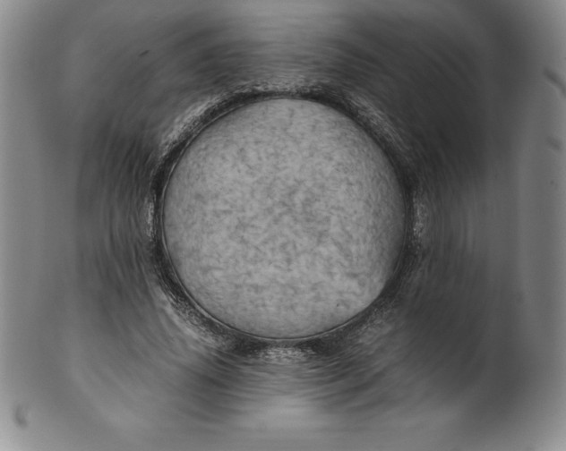 X0000100490636200806271238