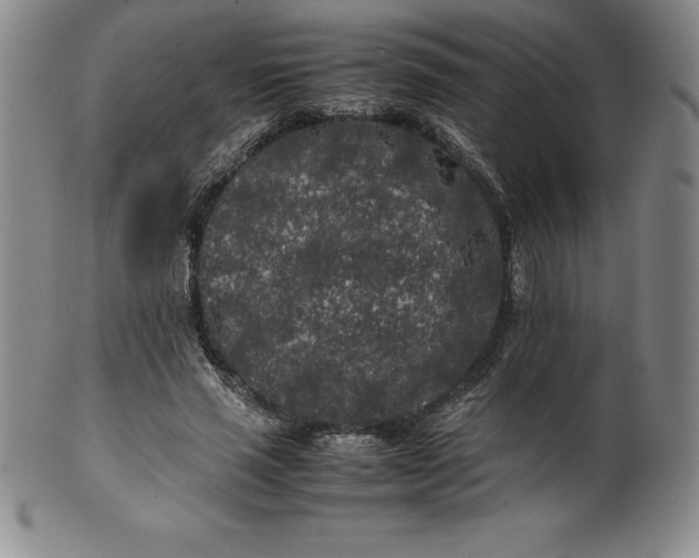 X0000100490637200806271238