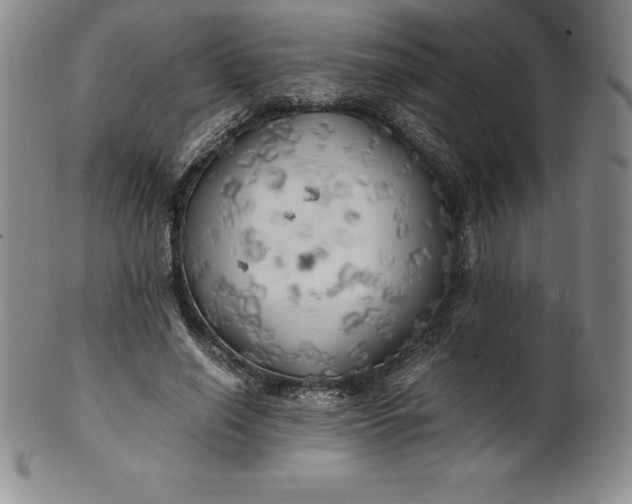 X0000100490638200806271238