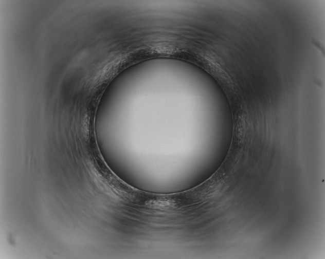 X0000100490639200806271238