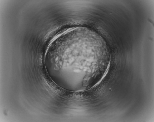 X0000100490640200806271238