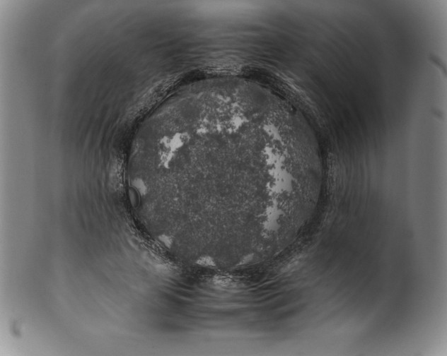 X0000100490641200806271238