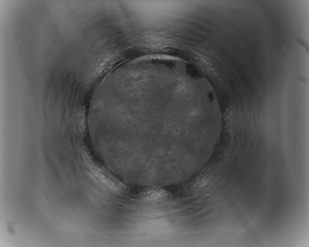 X0000100490642200806271238