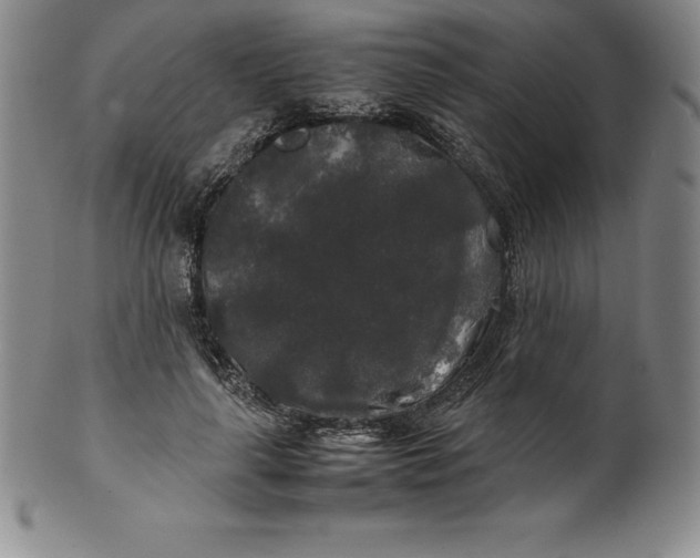 X0000100490643200806271238