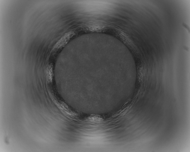 X0000100490644200806271238