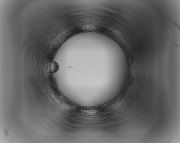 X0000100490645200806271238