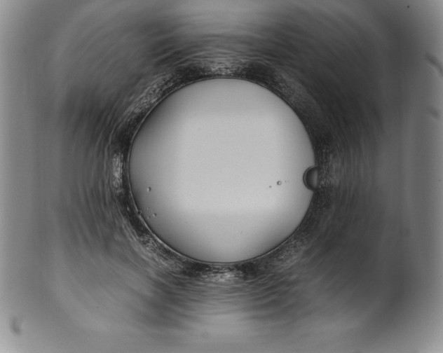 X0000100490646200806271238