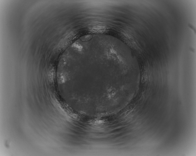 X0000100490647200806271238