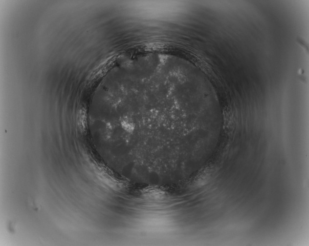 X0000100490648200806271238