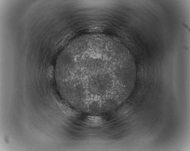 X0000100490649200806271238