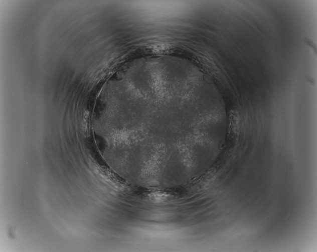 X0000100490650200806271238