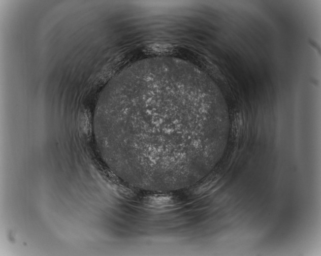 X0000100490651200806271238