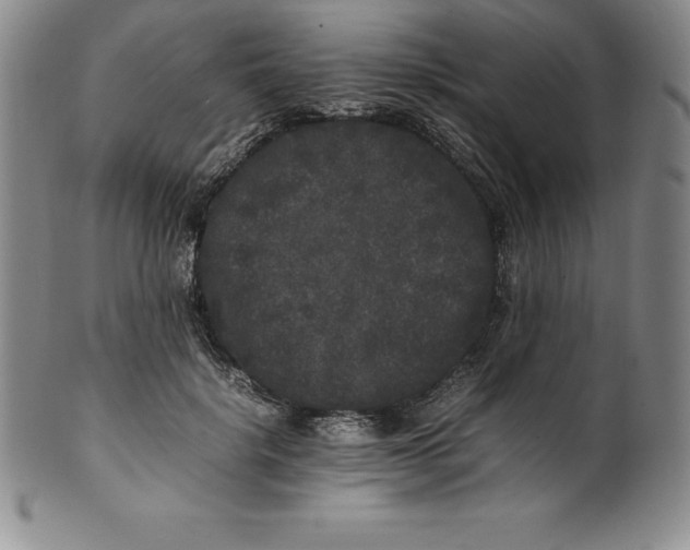 X0000100490652200806271238