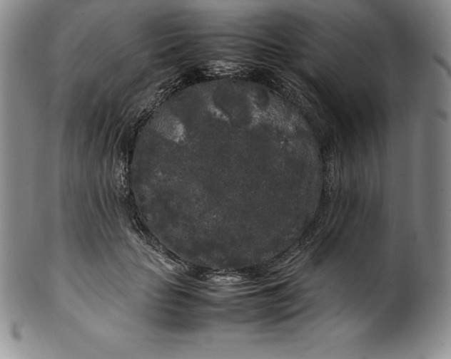 X0000100490653200806271238