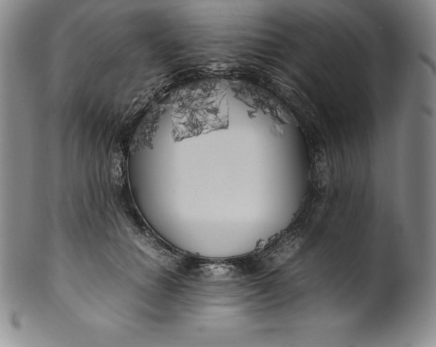 X0000100490654200806271238