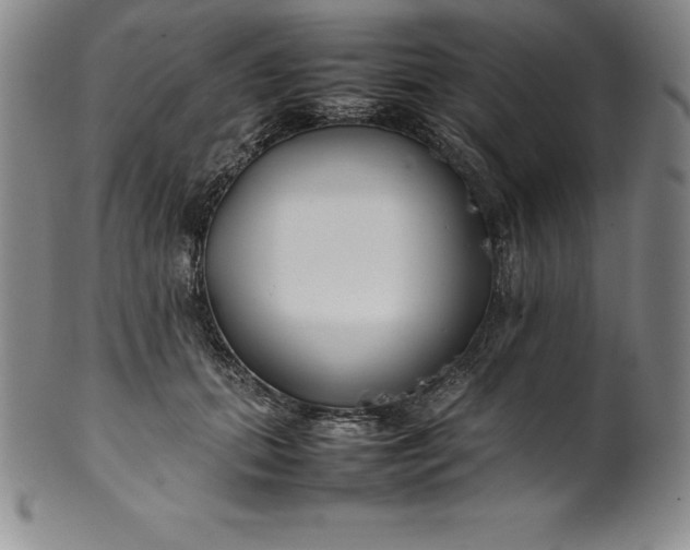 X0000100490655200806271238