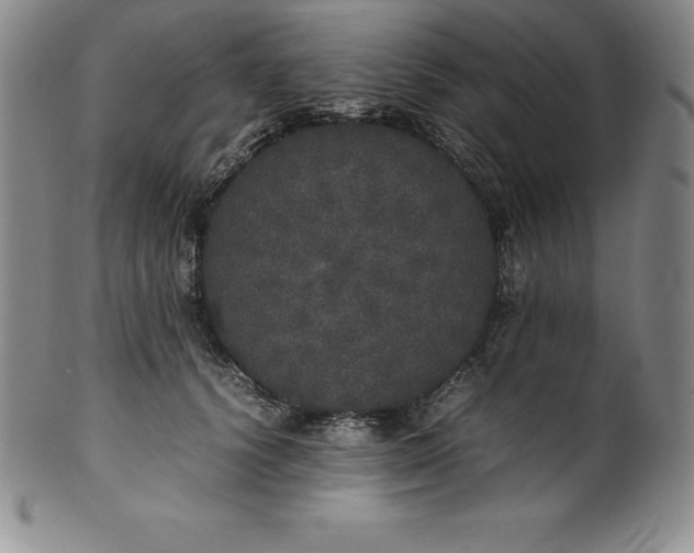 X0000100490656200806271238