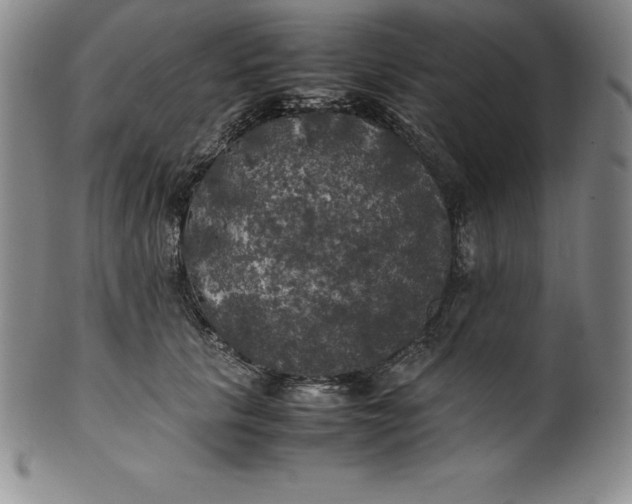 X0000100490657200806271238