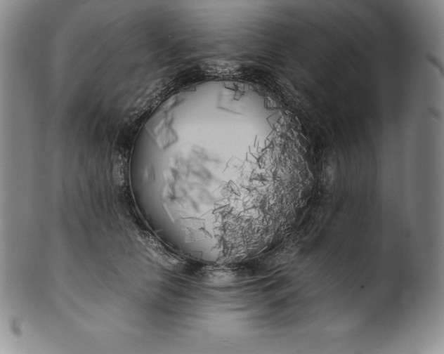 X0000100490658200806271238