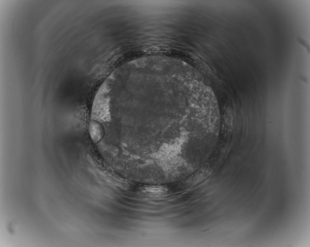 X0000100490659200806271238