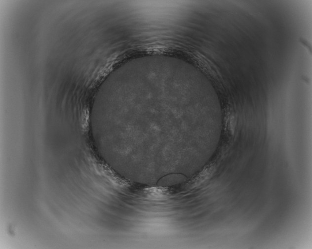 X0000100490660200806271238