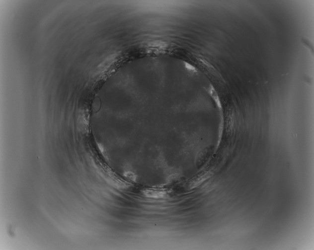 X0000100490661200806271238