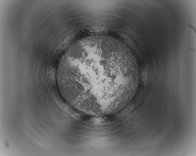 X0000100490662200806271238