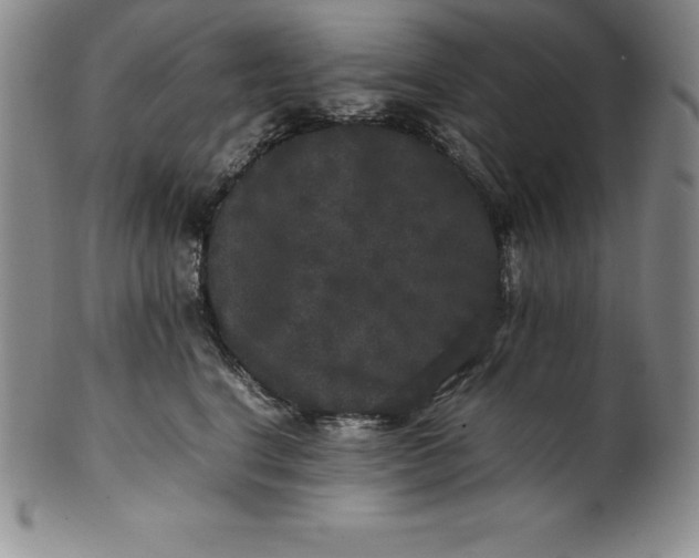 X0000100490664200806271238