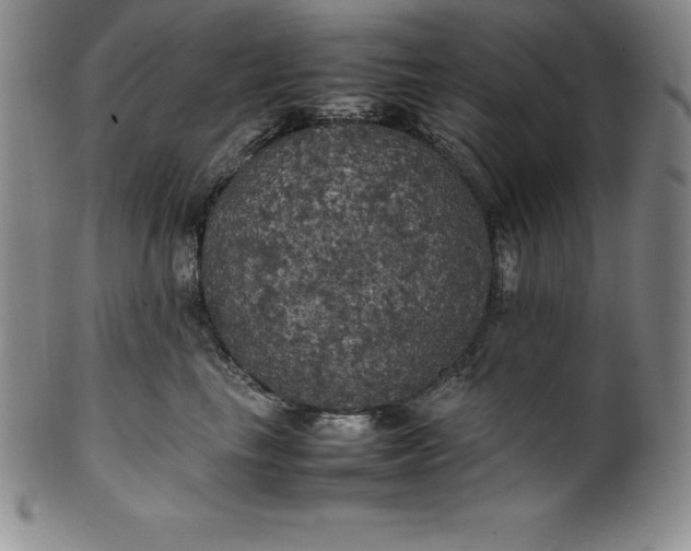 X0000100490665200806271238