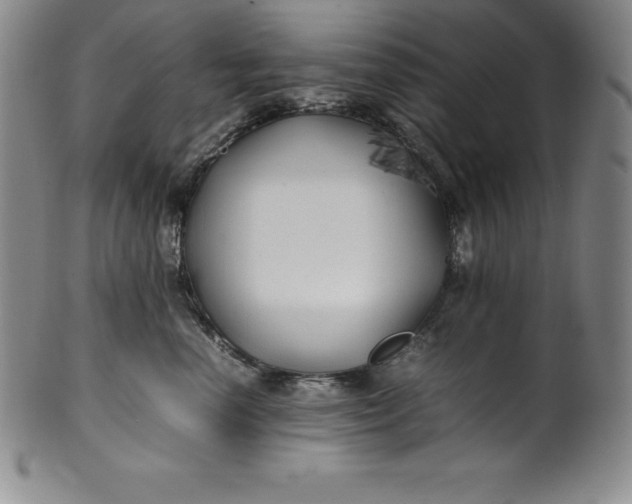 X0000100490666200806271238