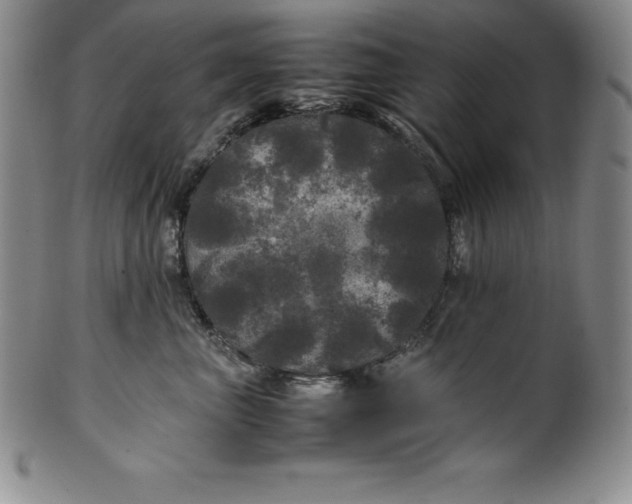 X0000100490667200806271238