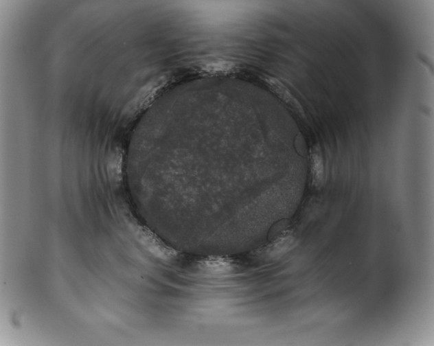 X0000100490668200806271238