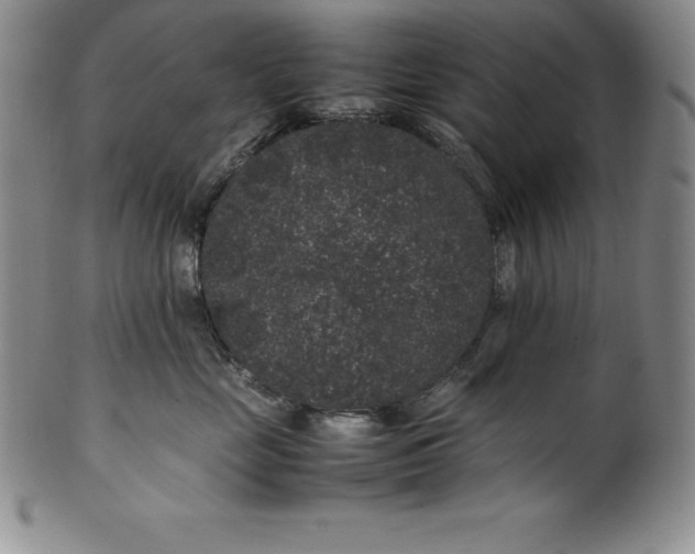 X0000100490669200806271238