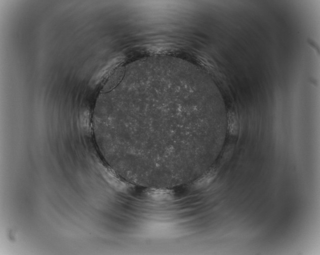 X0000100490670200806271238