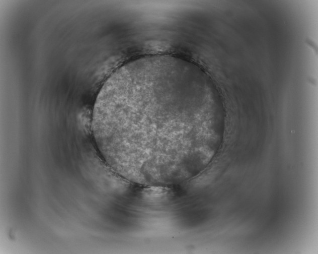 X0000100490672200806271238