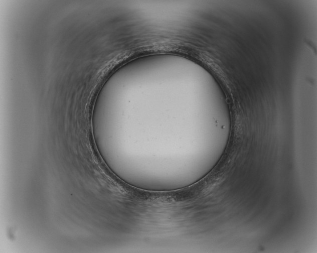 X0000100490673200806271237