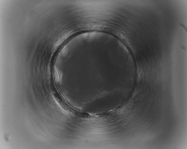 X0000100490674200806271237